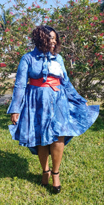 Button Down Dress