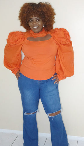 Bishop Sleeve Blouse